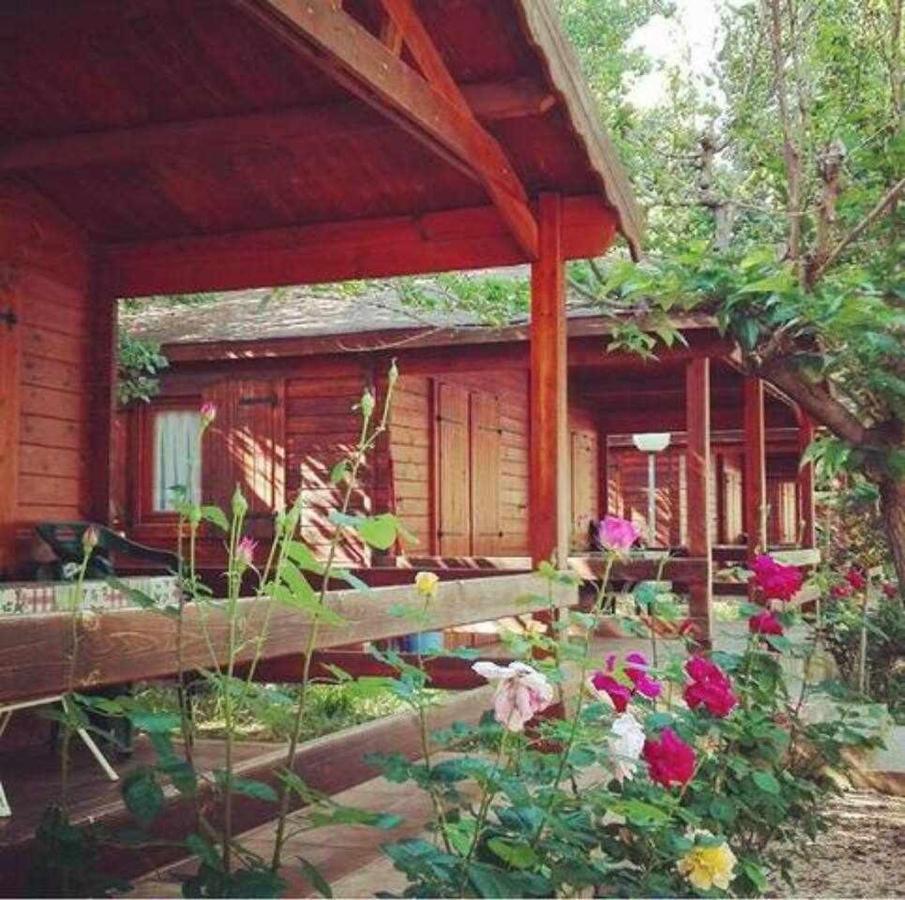 Bungalow & Camping Fuente De Regrustan Граус Екстериор снимка